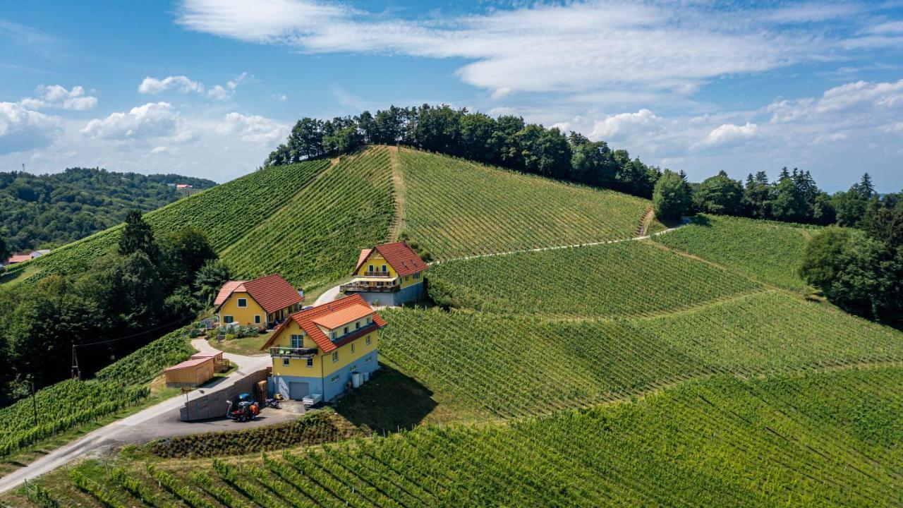 Weingut-Gaestehaus Birnstingl Gamlitz Buitenkant foto