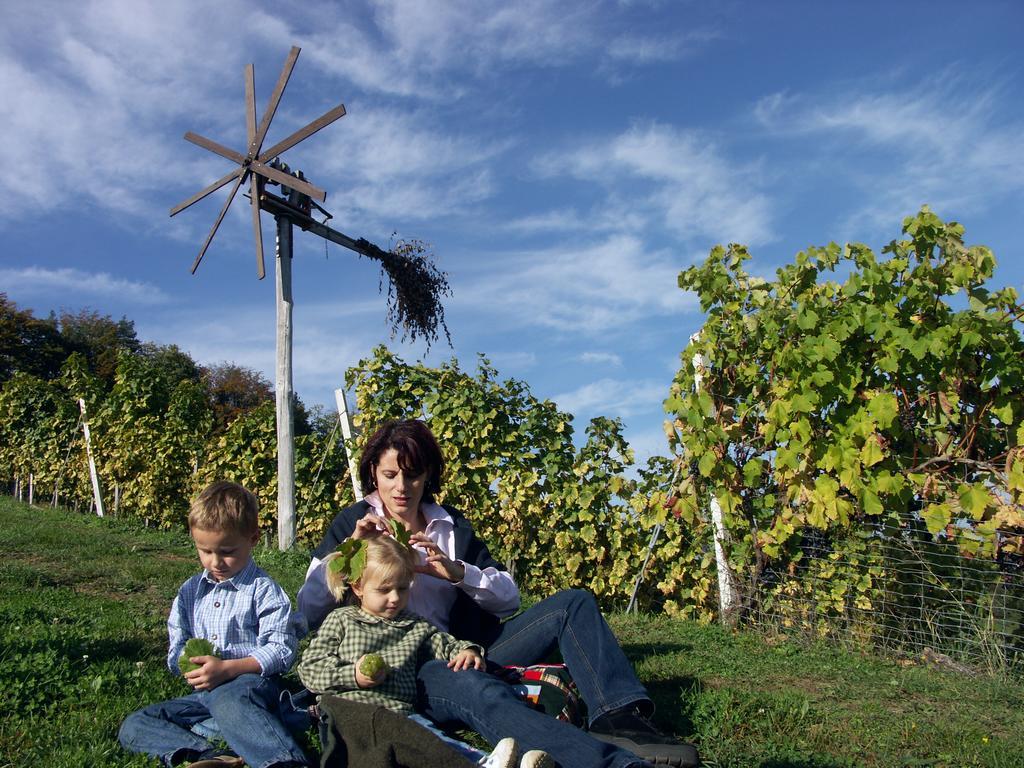 Weingut-Gaestehaus Birnstingl Gamlitz Buitenkant foto